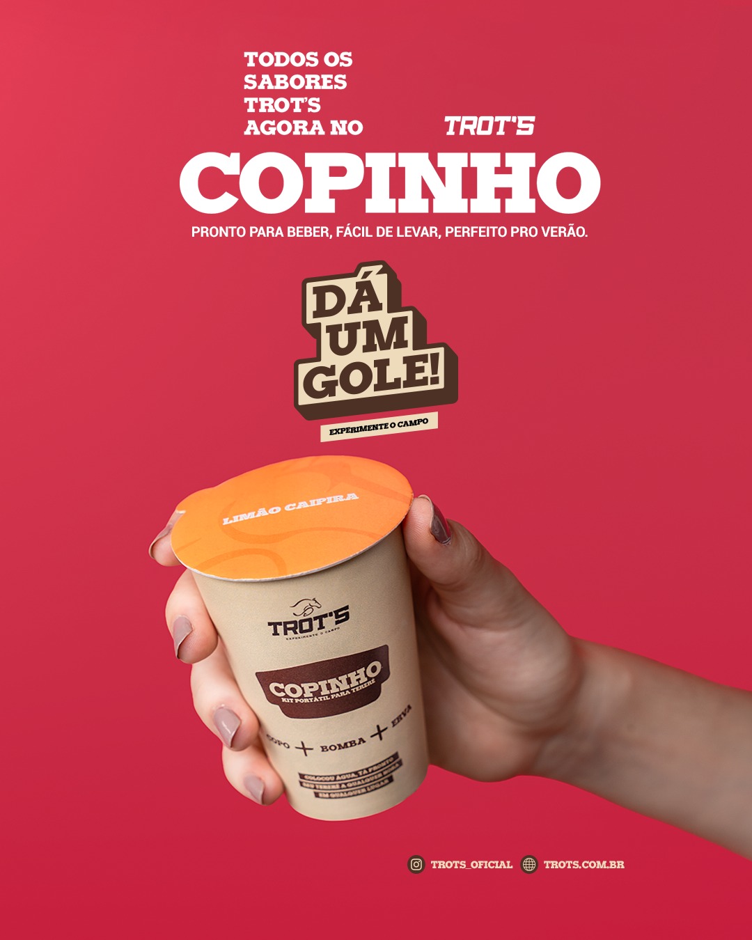 Copinho Trot's, kit portátil de tereré com copo, bomba e erva-mate